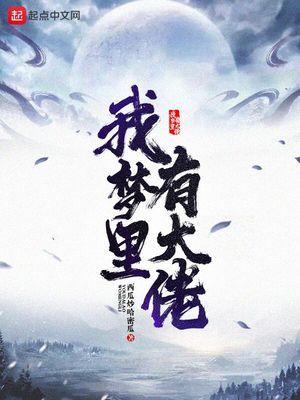 我梦裏有大佬封面