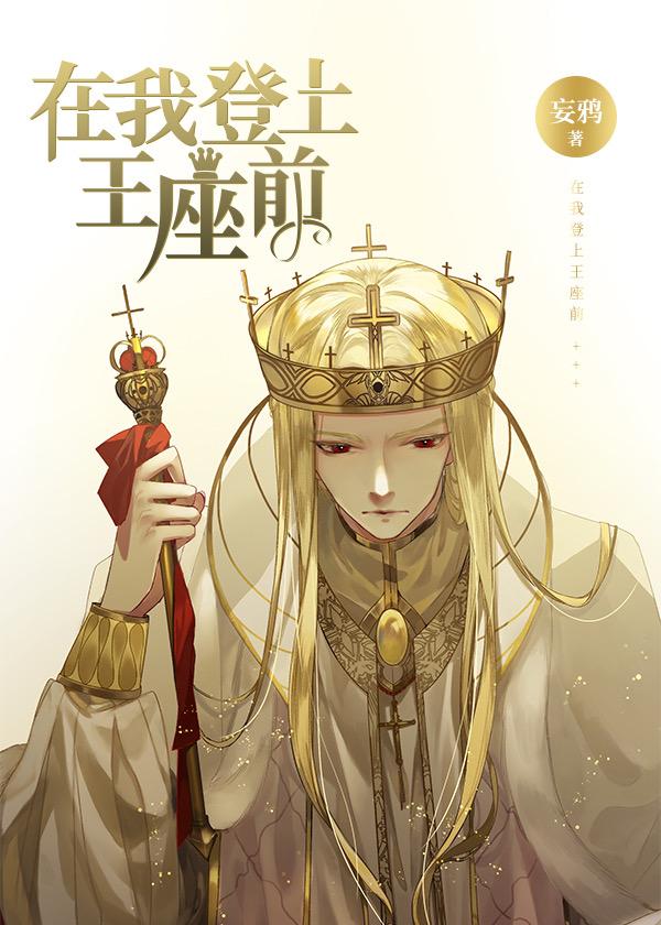 在我登上王座前封面