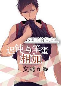[黑子的篮球]迟钝与笨蛋相加封面