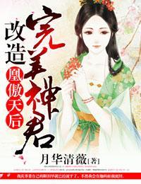 凰傲天后，改造完美神君封面