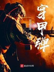 穿甲弹封面