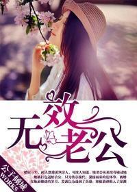 无效老公封面