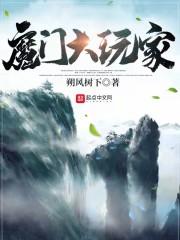 魔门大玩家封面