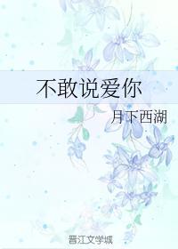 不敢说爱你封面