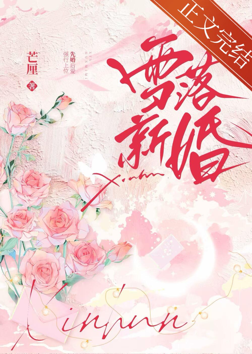 雪落新婚封面