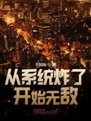 从系统炸了开始无敌封面