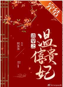 清穿之温僖贵妃封面