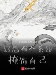 好想有个系统掩饰自己封面