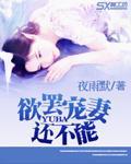 欲罢宠妻还不能封面