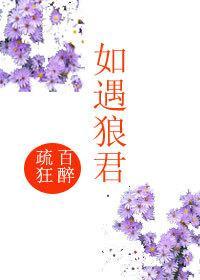 如遇狼君封面