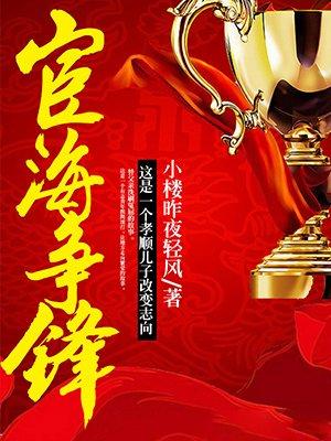 宦海争锋封面