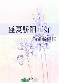 盛夏骄阳正好封面