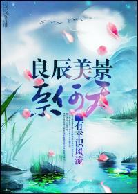 良辰美景封面