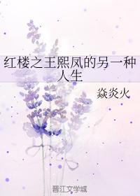 红楼之王熙凤的另一种人生封面
