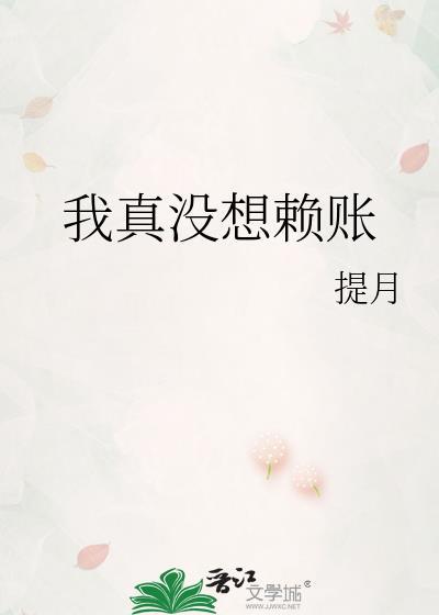 我真没想赖账封面
