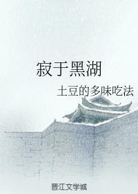 寂于黑湖封面