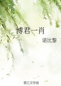 博君一肖封面