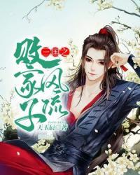 三国之风流败家子封面