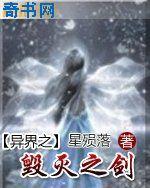 异界之毁灭之剑封面