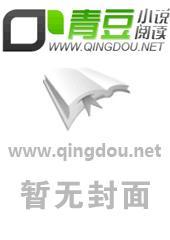 寡妇村的野史野村韵事封面