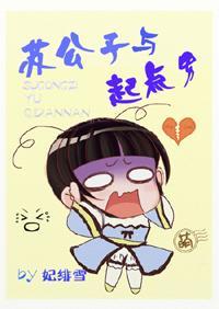 苏公子与起点男封面