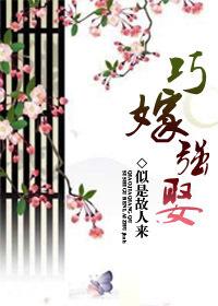 公子强娶（完结+番外）封面