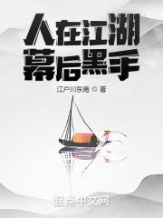人在江湖，幕后黑手封面