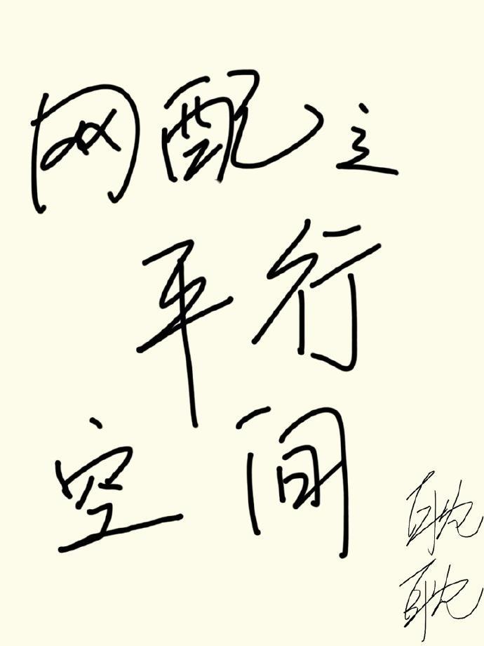 网配之平行空间封面