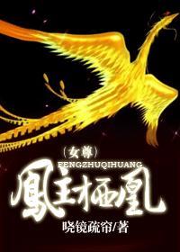 凤主栖凰（女尊）封面