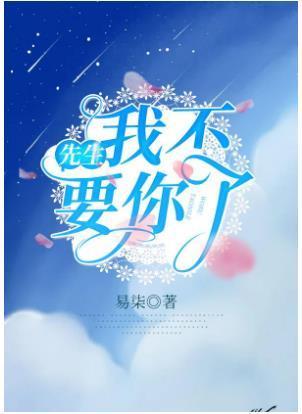 先生，我不要你了封面