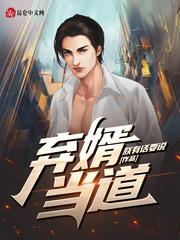 赘婿叶辰王佳珧封面