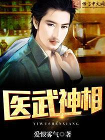 医武神相封面