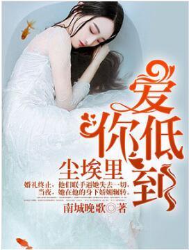 爱你，低到尘埃裏封面