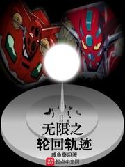 无限之轮回轨迹封面