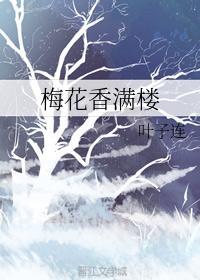 梅花香满楼封面