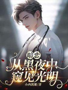 暗恋从黑夜中窥见光明封面