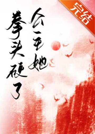 公主她拳头硬了封面