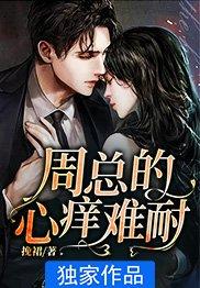 灯火桥边封面