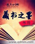 藏书之墨封面