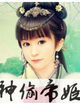 神偷帝姬封面