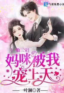 一胎三宝：妈咪被我宠上天封面