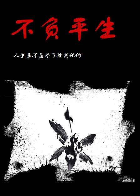 不负平生封面