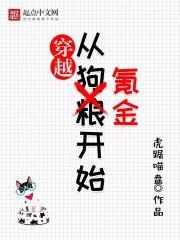 穿越从氪金开始封面