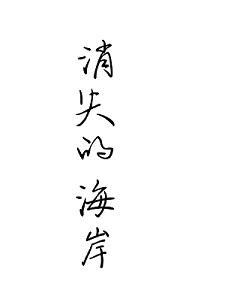 消失的海岸封面