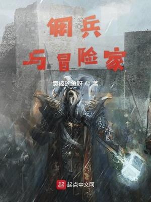 佣兵与冒险家封面