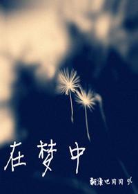 在梦中封面