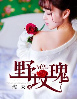 野玫瑰封面