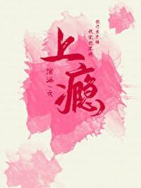 上瘾封面