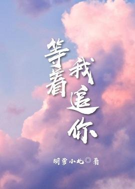 等着，我追你封面