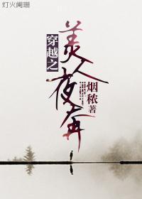 穿越之美人夜奔封面
